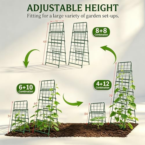 Heavy Duty Cucumber Trellis Thickened for Raised Garden Bed,48"x16" Foldable Frame Metal Vegetable Trellis for Climbing Plants Outdoor Plant Support for Grape Tomato Peas, Fruit, Vine,Bean(1 Pack) - Image 2