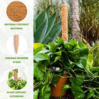 Envelor Coco Moss Poles Plant Support Stakes Coco Plant Stake Pothos Coir Totem Pole Monstera Moss Pole Climbing Plant Support Potted Plant Upward Growth Vine Stackable Coco Sticks, 36 inches, 4 Pack - Image 3