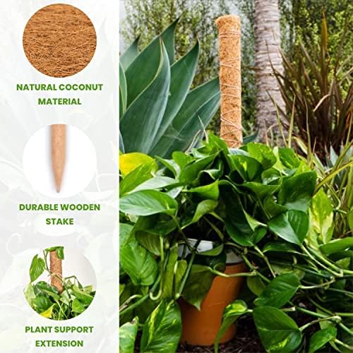 Envelor Coco Moss Poles Plant Support Stakes Coco Plant Stake Pothos Coir Totem Pole Monstera Moss Pole Climbing Plant Support Potted Plant Upward Growth Vine Stackable Coco Sticks, 24 inches, 12 Pack - Image 3