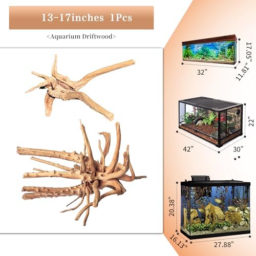 Natural Large Driftwood for Aquarium Decor Fish Tank Decor Reptile Decor - Image 2