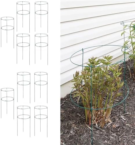 MTB Supply 10 Pack 36" x 18" Peony Double Ring Plant Support,Plant Support Stakes for Tomatoes Peony Lily Rose Plant Support Rings Peony Cages for Outdoor Plants Flowers Vegetables by MTBSUPPLY