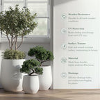 DTY Premium Mt Wilson Tall Tapered Fiberstone Planter for Indoor Outdoor Use, Modern Large Olive Tree Pot with Drainage Hole, Includes 2 Coco Mats. White, Medium 15'' D x 16.7” H. 11.2” Pot Opening - Image 4