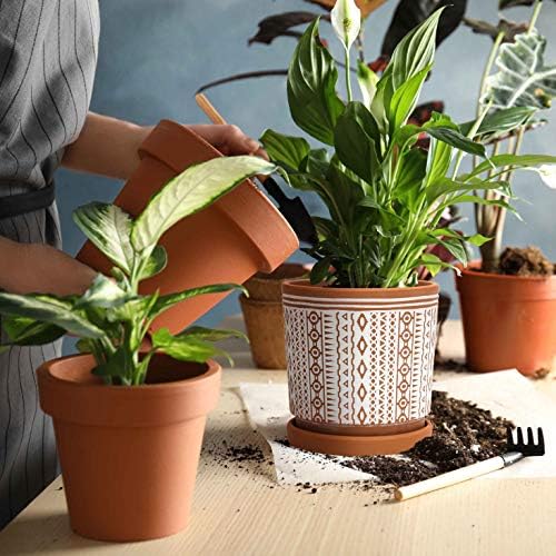 D'vine Dev Set of 2 Terracotta Pots, 4 Inch & 6 Inch, Planter Pots for Plants with Drainage Holes and Saucers, Terracotta/White, Small, 31-958-A-1 - Image 6