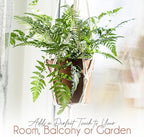 Macrame Plant Hanger - Indoor Macrame Plant Basket Holder | Decorative Planter Hanger | for Outdoor Garden Home Apartment Nursery Living Room Balcony - Image 3