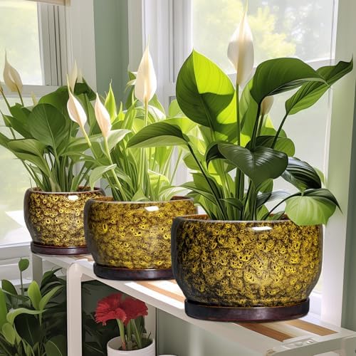 SQOWL Ceramic Flower Pots - 8 inch Ceramic Planter for Indoor Plants, Decorative Plant Pots with Drainage Hole and Saucer, Round Planter Outdoor, Porch Backyard Decor, Housewarming Gifts, Yellow - Image 6