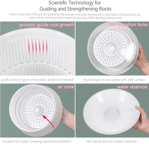 Orchid Pots with Holes for Repotting, Decorative African Violet Pots with Air-Pruning and Good Air Circulation, Plastic White Orchid Planter with Saucers, 8 Inch, Set of 2 - Image 5