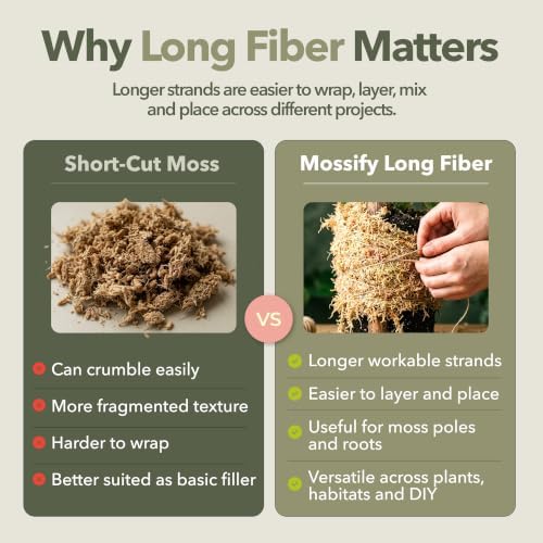 Mossify Long Fiber Sphagnum Moss 1kg, 2.2lb - Orchid & Terrarium Substrate - Image 3