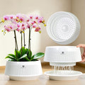 Orchid Pots with Holes for Repotting, Decorative African Violet Pots with Air-Pruning and Good Air Circulation, Plastic White Orchid Planter with Saucers, 8 Inch, Set of 2 by Meshpot