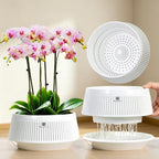 Orchid Pots with Holes for Repotting, Decorative African Violet Pots with Air-Pruning and Good Air Circulation, Plastic White Orchid Planter with Saucers, 8 Inch, Set of 2 by Meshpot