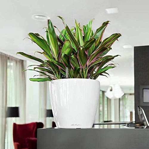 Lechuza Classico Premium LS 28 Silver Metallic 16048 - Image 3