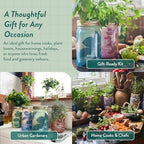 Modern Sprout Garden Jar Gift Pack - Hydroponic Kit - Basil, Parsley & Mint - Image 4