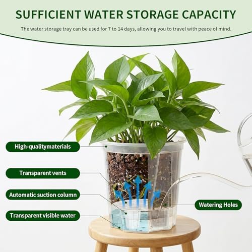 Cdd's Path Self Watering Pots Set with Deep Water Tank, Large Drainage Holes, Reservoir & Air Pipes, 5/6/7/8 Inch Naked Root Planter for Indoor Outdoor Plants, Flowers, Seedlings, Clear, 4 Pack - Image 2