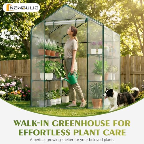 NEWBULIG Walk-in Greenhouse 56.3"x56.3"x76.7" Outdoor, Portable Greenhouse Kit with Thick PVC Cover & Roll-Up Zipper Door, Sturdy Steel Frame for Backyard, Patio, Garden, Clear - Image 2