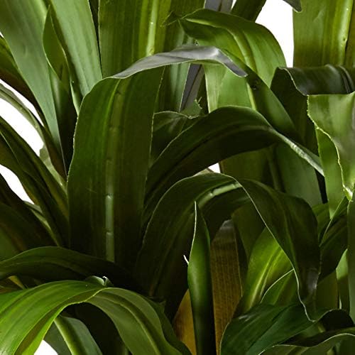 Nearly Natural 4 ft Artificial Corn Stalk Dracaena Real-Touch Floor Plant - Image 5