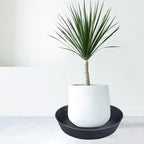 20 Inch Extra Large Plant Saucers, Extra-Deep 3.7 in Black Drip Trays for Flower Pot, Heavy Duty Drainage Tray Indoors No Holes, 3 Pack Plastic Planter Plate Water Catcher for Pots Base 16 17 18 in - Image 6