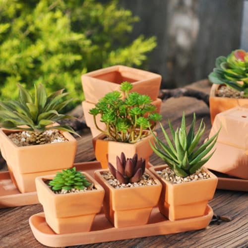 GANAZONO 5pcs Small Terracotta Pots Square Clay Pots Ceramic Flower with Drainage Holes Cactus Nursery Planter Succulent Terracotta Plant for Outdoor Indoor - Image 4
