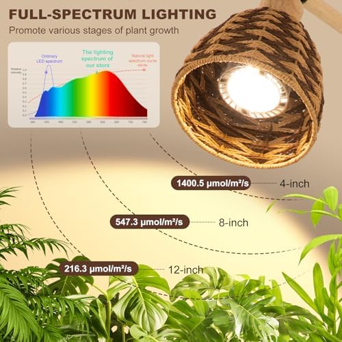 Grow Lights for Indoor Plants Full Spectrum, Plant Lights for Indoor Growing with 30W 4000k, 24H Timer, Standing Tall Grow Lamp for Middle Large Plants(72'', Height Adjustable) - Image 5