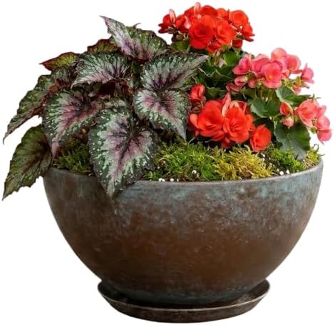 10" Rosie Bowl with Saucer in Weathered Copper by GROWSCAPE