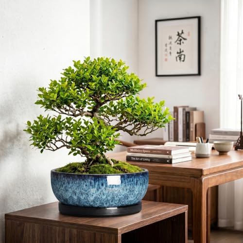 Bonsai Pots, 13 Inch Ceramic Succulent Pot with Saucer, Blue - Image 3