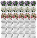36 Pockets Living Wall Planter Indoor, Self Watering Wall Hanging Planters for Outdoor Plants Stackable, Cascading Vertical Planter Garden (36 planters White) by Unknown