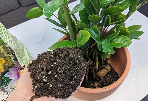 Gardenera Premium ZZ Plant Expert-Grade Soil - Fast-Draining Formula Ensuring Long-Lasting Plant Vitality - 10 QUARTS - Image 2