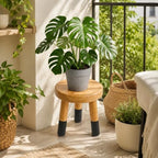 9" Rubber Wood Plant Stand for Indoor Plants, Modern Rustic - Image 5