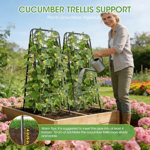 Heavy Duty Cucumber Trellis, 50" x 17" A-Frame Garden Trellis - Image 4