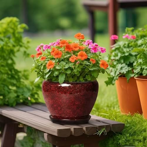 Ceramic Plant Pots - 10 Inch Planters for Plants Indoor Outdoor, Round Plant Pots with Drainage Hole and Saucer, Decorative Indoor Planter, Office Decor, Gifts for Plant Lovers, Red Leopard - Image 4