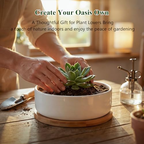 ZOUTOG 6 Pack 6" Ceramic Succulent Pots, White Planters with Drainage Tray - Image 4