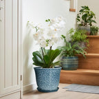 10 Inch Plant Pot, Ceramic Planter for Indoor Plants, Blue - Image 6