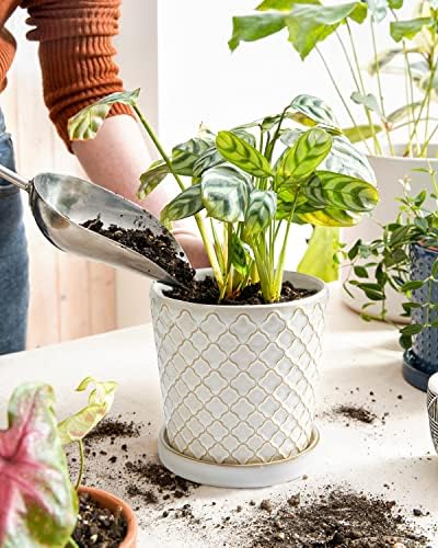 LE TAUCI Ceramic Pots for Plants, 5.4 Inch Plant Pots with Drainage Hole and Saucer, Indoor Plant Pots for Succulent, Snake Plants and Cactus, Flower Pots, Set of 2, Reactive Glaze White - Image 2