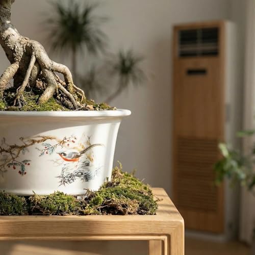 6.69" Glazed Bonsai Pots, with Drainage, Indoor-Outdoor Decor - Image 6