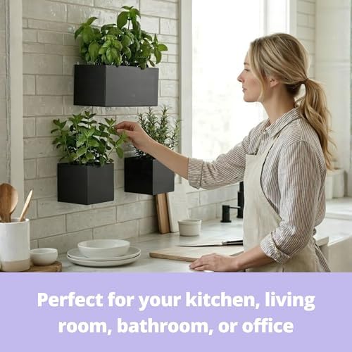 LaLaGreen Wall Planters (3-Pack Set) Rectangular Wall Mounted Hanging Flower Boxes for Indoor Plants, Black Carbon Steel Metal Windox Box Planter Plant Modern Balcony Windowsill Herb Home Garden Decor - Image 3
