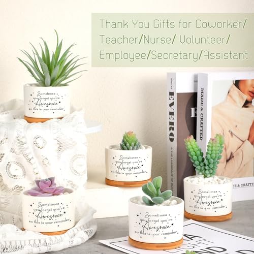 12 Pcs Inspirational Succulent Pots Thank You Gift Bulk for Women Employee Teacher Coworker Sometimes You Forget You're Awesome Small Ceramic Plant with Bamboo Trays for Office Staff - Image 7