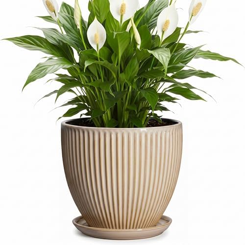 8 Inch Pots for Plants, Ceramic Planter with Saucer, Beige by Unknown