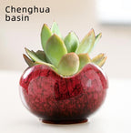 YYW Succulent Pots with Tier Bamboo Stand, Indoor Small Flower Cactus Pots - Image 6