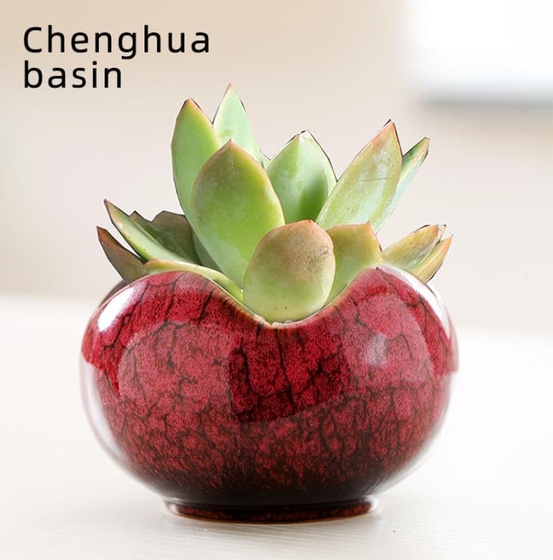 YYW Succulent Pots with Tier Bamboo Stand, Indoor Small Flower Cactus Pots - Image 6