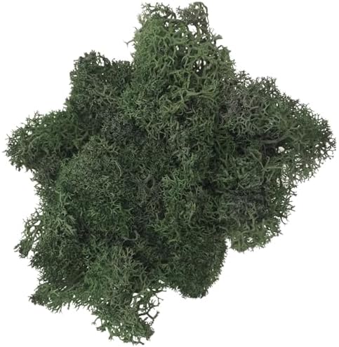 500g Artificial Moss for Crafts, Faux Decorative Plant for DIY Walls Wedding Party Table Centerpieces Home, Grass Green by LKXHarleya