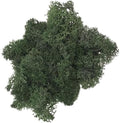 200g Artificial Moss for Crafts, Faux Decorative Plant for DIY Walls Wedding Party Table Centerpieces Home, Grass Green by LKXHarleya