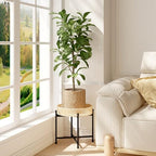 Bamworld Rattan Plant Stand Indoor Boho Plant Table for Large Plants Single Plant Stool Plant Holder for Living Room Bedroom - Image 2
