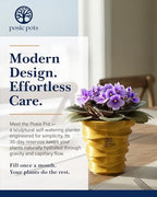 Posie Pot Medium Wave Self Watering Planter for Indoor Plants - 5x5 Inch Patented Pot with 10X Water Reservoir - Modern 3D Printed Desk Planter - Root Rot Free - Eco Friendly, Made in USA, Gold - Image 2