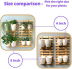 LaLaGreen Wall Planter for Indoor Plants (5in, 10 Pack) White Self-Watering - Image 3