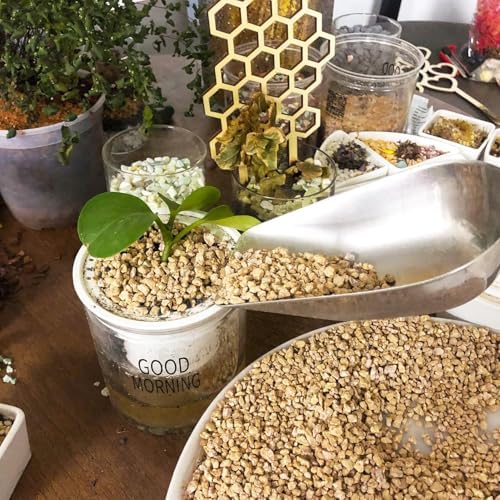 45lb Maifanitum Stones for Succulent Cactus Bonsai Decorative Rocks-Indoor Plants Soil Covers,Horticultural Gravel, Potting Pebbles for Terrarium, Fairy Gardening, Top Dressing - Image 6