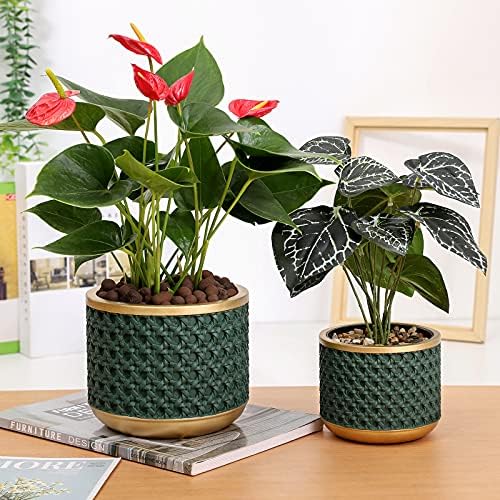 6&4.4 Inch Cement Planter Decorative Pots with Drainage Hole for All House Plants, Succulents, Flowers, and Cactus (Gold Green) - Image 2