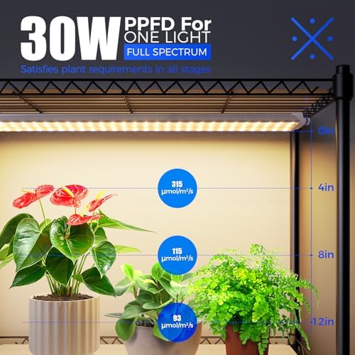 Barrina CX2 Plant Stand with Grow Lights, 6-Tier, 150W, 29.5x13.8x71IN - Image 3