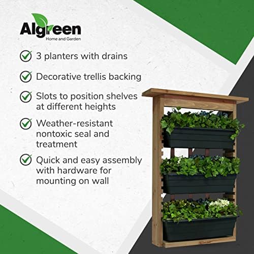 Algreen Wall Planter - 3-Tier with Drain - 11.5 x 32.5 x 8 in - Wood - Image 5