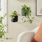 2 Pcs Wall Mounted Hanging Planter Vase for Indoor and Outdoor Plants Modern Metal Wall and Ceiling Planter Minimalist Flower Pot (Black, 5.91 inch) - Image 3