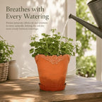 8 Inch Terracotta Plant Pots with Floral Rim and Saucer - Image 5