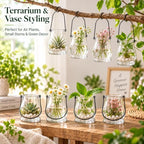 Cabilock 8-Piece Hanging Glass Terrariums for Air Plants and Tea Lights - Image 3