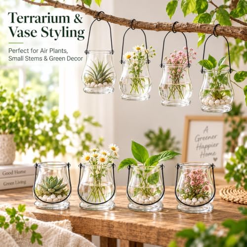 Cabilock 8-Piece Hanging Glass Terrariums for Air Plants and Tea Lights - Image 3